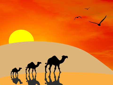 3d image of camels silhouettes in the desert at sunset