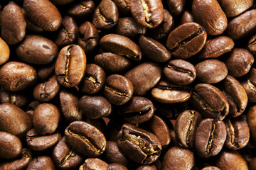 Macro shot of coffee beans