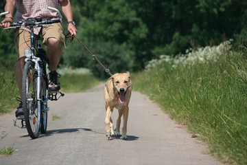 Radtour mit Nina 5