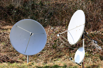 Drei Satellitenschuesseln in einem Garten