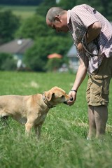 Hundeschule 5