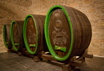 barrels in wine-cellar