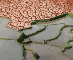 terre en danger