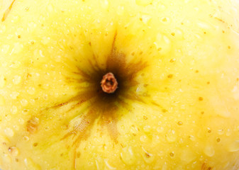 Fresh apple