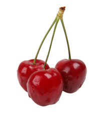 cherry on whte background