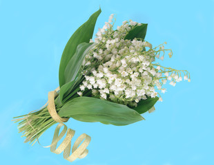 Lilies of the valley