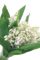 Foto auf Acrylglas Maiglöckchen Lilies of the valley  © SASHA