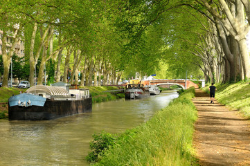 Le canal du Midi (Toulouse). - obrazy, fototapety, plakaty