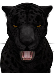 Naklejka premium Black roaring jaguar isolated on white.