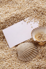 podstcard  on the sand beach. Vacation memories