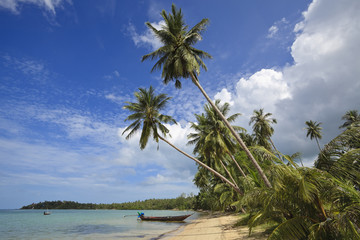 Tropical beach. © Stephane BENITO