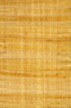 Papyrus 1