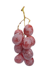 Grape cluster