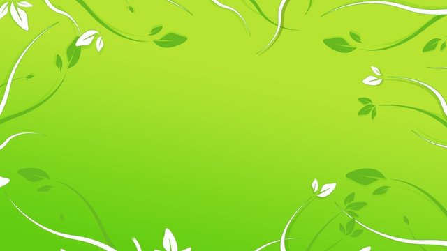 Animation fleurs fond vert d&eacute;grad&eacute;