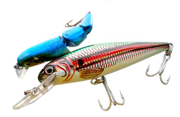 training gear to the fishing