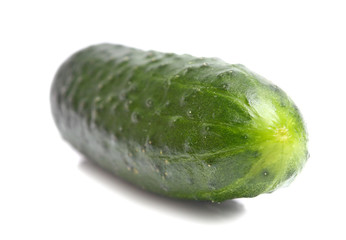 cucumber