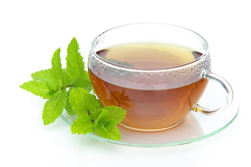Tee Pfefferminze - tea Peppermint 03