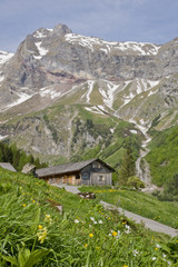 Fototapeta na wymiar Alpe