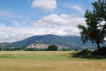 Assisi