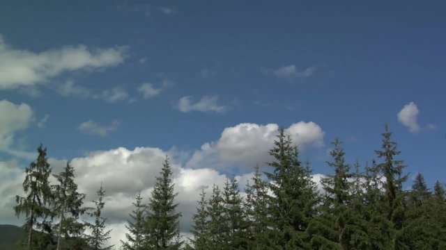 Nuvole e alberi