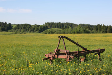 Fototapeta premium Russian field by the end of May