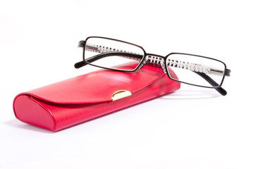 Spectacle-case with glasses