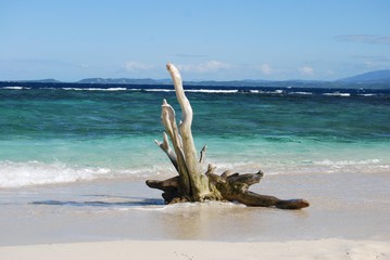 Echoué sur un plage près d'Haïti