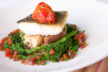 Atlantic Cod
