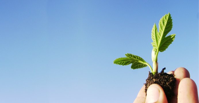 D&eacute;veloppement Durable