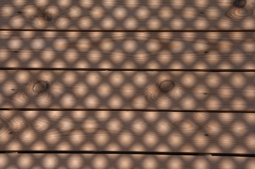 bois et lumière