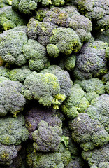 Broccoli calabrese