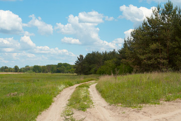 Fototapeta na wymiar road on a meadow