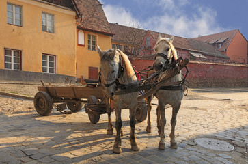 Streets of Sighisoara-Transylvania,Romania
