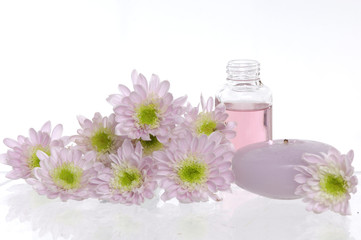 Fototapeta na wymiar isolated spa bottles and daisies