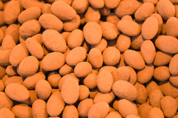 Delicious chocolate pralines cacao covered - Pattern