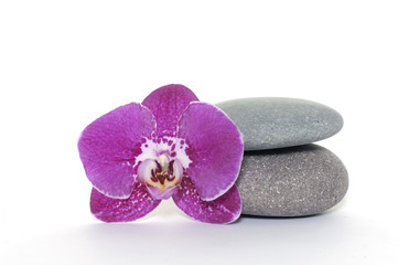 Obraz na płótnie Canvas Beautiful orchid petal and spa stone