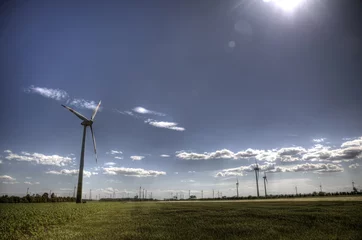 Photo sur Plexiglas Moulins Wind mill turbine in grain field