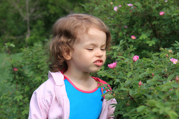 Little girl and flowers of wild rose.