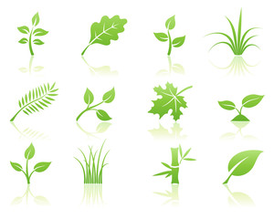 Vector illustration of green ecology nature floral icon set