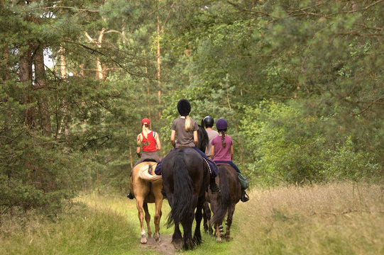 Reitergruppe im Wald