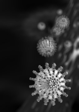 Viruses v2