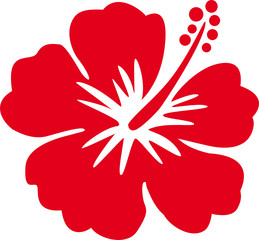 Hawaiiblume rot © Mademoiselle Bézier
