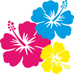 Hawaiiblumen pink, blau, gelb © Mademoiselle Bézier