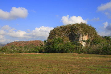 Das Vinales Tal