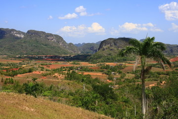 Fototapeta na wymiar Das Vinales Tal