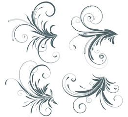 swirling flourishes decorative floral elements
