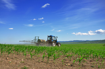 Naklejka premium Tractor plowing the fields back