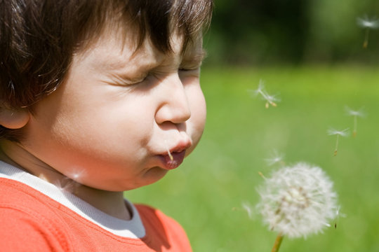 Boy Blowing Dandelion