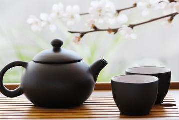 Tea Set with teapot and cup