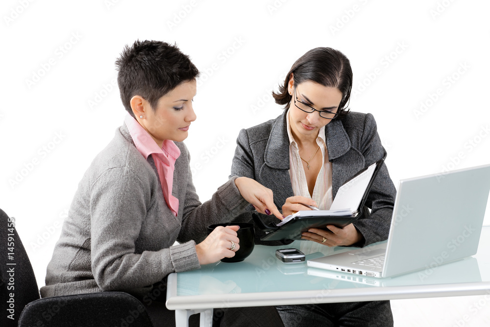 Wall mural young businesswomen talking